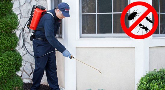 Köprüköy Kemirgen İlaçlama böcek ilaçlama ve haşere kontrolü — ilaclama-tr.com